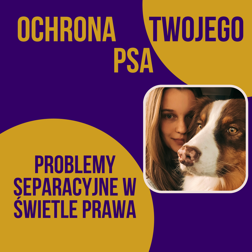 PROBLEMY SEPARACYJNE W ŚWIETLE PRAWA