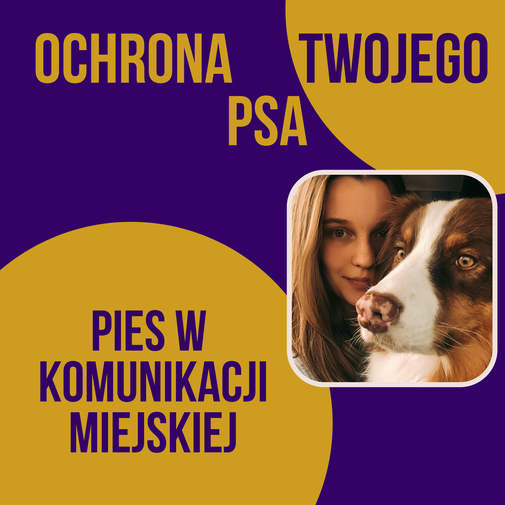 PIES W KOMUNIKACJI MIEJSKIEJ