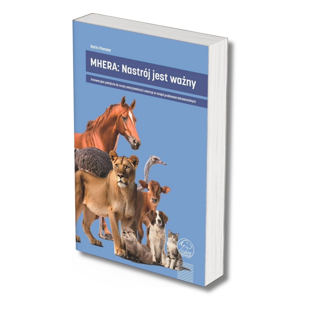 Okładka książki MHERA: Nastrój jest ważny