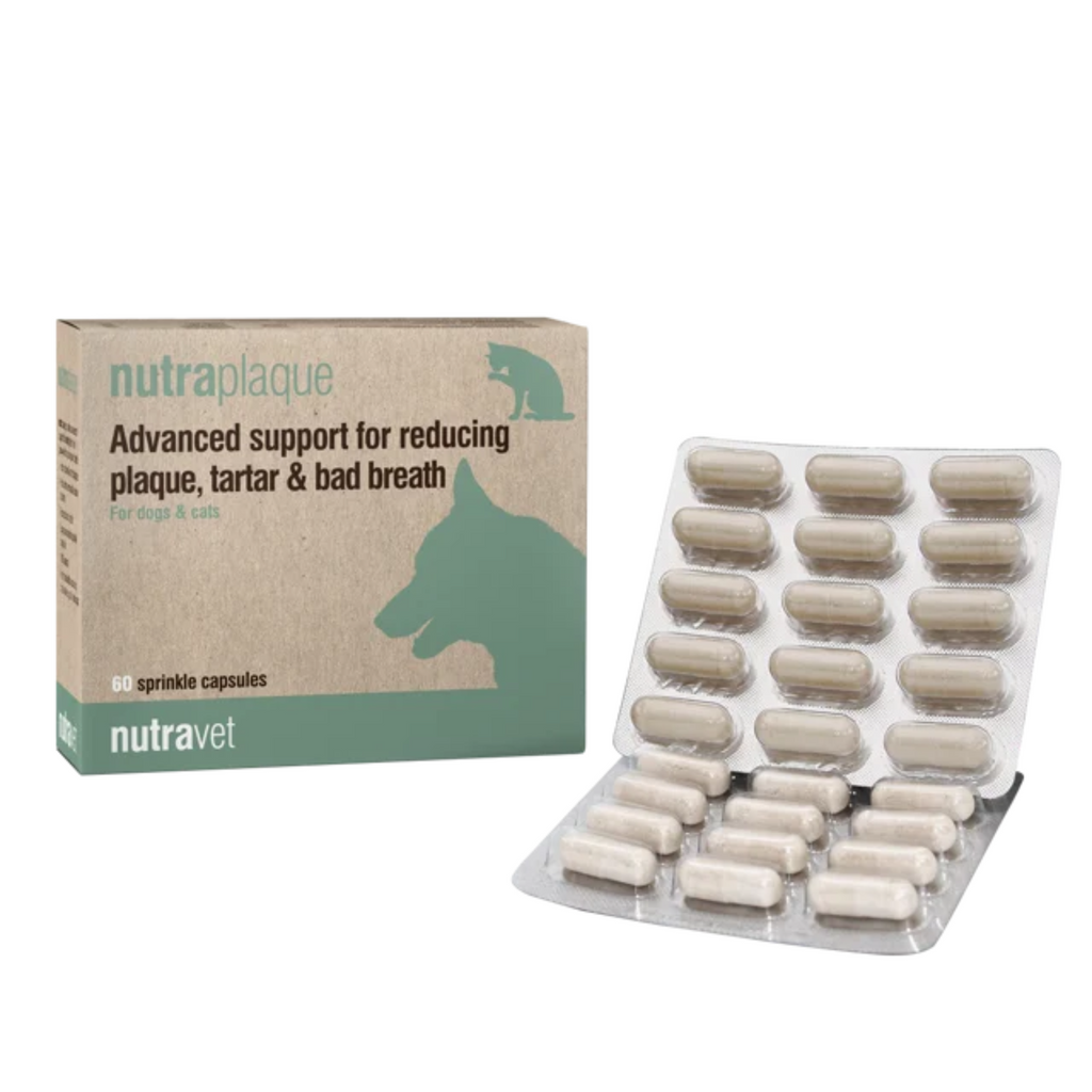 opakowanie suplementu Nutraplaque 60 kapsulek
